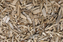 biomass boilers Marshchapel